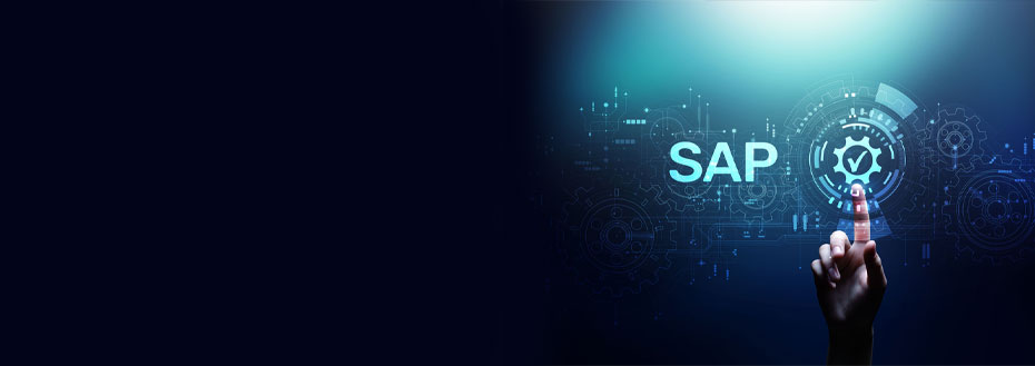 SAP Services Company in Pune, Bangalore, Delhi